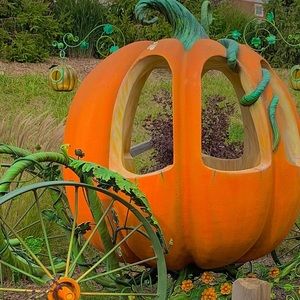 Meet your Posher, Sandra